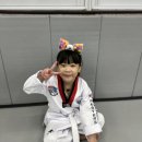 마스터즈 태권도장 이미지