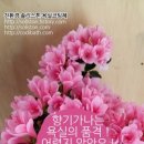 돈복 이미지