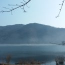 홍삼이야기 - 화성시 | 홍삼이야기