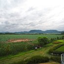 (주)자연에찬
