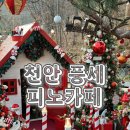 휴양림길 | 천안 풍세 피노카페 크리스마스 포토존 아기랑 강아지랑 다녀온 내돈내산 솔직후기