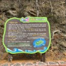 비토어촌체험휴양마을 이미지