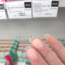 풀치키