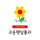 고운햇살플라