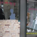 공주머리하는날