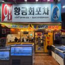 황금회포차광주수완점 | 광주술집 ㅣ황금회포차 광주수완점ㅣ우럭막회 솔직후기 수완지구맛집