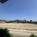 엘리트 승마스쿨 네이버블로그