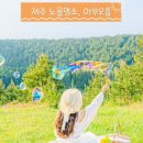 가죽공방윤미어스 네이버블로그