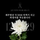 윈터 생일카페(퍼피즈 파크, 트윙클 트윙클) 방문 후기