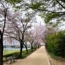 양평교 화장실 네이버블로그