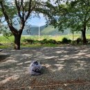 운문사계절캠핑펜션 이미지