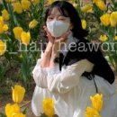 에이치헤어 네이버블로그