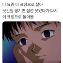 다이카
