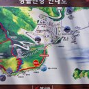 햇빛 찬란한 그 길 이미지