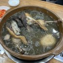 수원 능이백숙 잘하는 집 대성농장생오리 인계점 부모님 모시고 가기 좋은 보양식 맛집