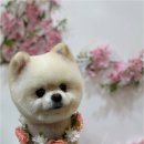 사랑받개