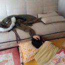오빠야PC 이미지