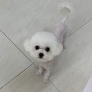 러브몽먼트 이미지