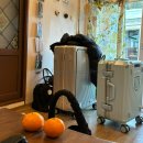 지에스25대정상모점 이미지