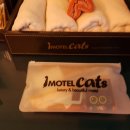 캣츠무인호텔 이미지