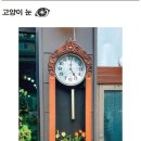 시간여행자 이미지