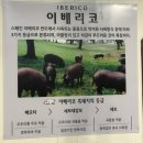 애막골 이걸굽네 이미지