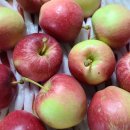 호준농장2 이미지