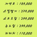 신데렐라붙임머리