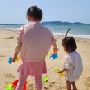 노블레스 독 | 안면도펜션 안면도 노블레스 펜션에서 바다와 함께하는 휴식