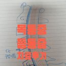 날개뼈와 척추 사이(등) 통증 / 목 통증 환자 도수치료 후기 (카이로프랙틱 관점)