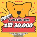 [의정부 오시개 카페] 애견동반가능한 애견카페