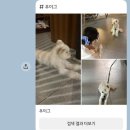 우하하 네이버블로그