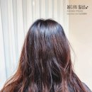 오빠네살롱 이미지