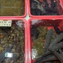 개풍약국 | 🐟 포항 죽도시장 나들이 후기 — 회포장하고 반건조 생선 득템까지!