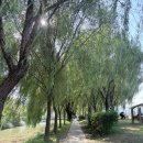 지에스25반포스타점 | [서초/교대] 가을날의 낭만! 반포한강공원 한강라면&amp;서강준 배우님 영접 후기 🍜🍂