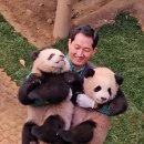 달루이 Daum카페