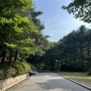 청평사(춘천) | 춘천 여행 청평사 8개월 아기랑 유모차 가지고 간 후기