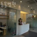 앞선동물병원 | 고양 신원동 동물병원 앞선동물병원 진료시간 접근성 이용후기