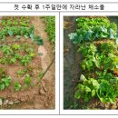 미니슈퍼마켓 이미지