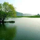 맛있는인생 이미지