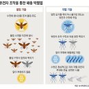 K-경영, 한국식 모순 경영의 힘 | 주요기사와 인문학 ( 2025. 8. 27, 수 )