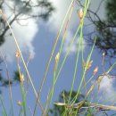 제주하늘지기 이미지