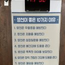 생선나라 | [전북 남원] 갑쭈새 맛집 + 갓성비 식당 &#39;생선나라 단비&#39; 후기