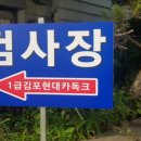 1급김포현대카독크 이미지