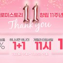 래쉬스토리 이미지