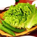 청정오리떼 이미지