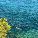 PLAGE | 프랑스 니스 근교 해변 팔로마비치 Plage Paloma