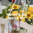 제피레토