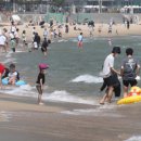 해운대해수욕장 이벤트광장 이미지