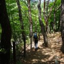 대원사정류장 이미지